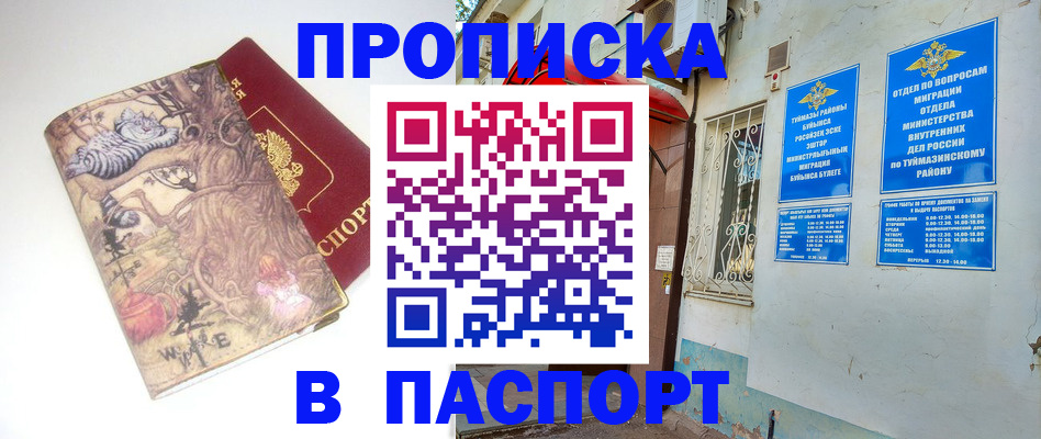 пропишу в квартире в Брянской области